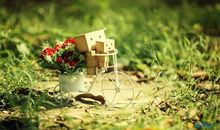 不可不看的人生感悟