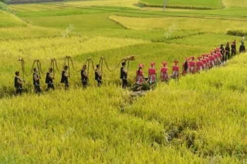 关于阅读《何华》的思考