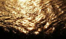 就怕你雄心万丈，却四肢无力