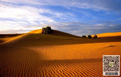 描述沙漠环境的句子