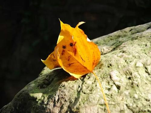 太阳永远不会忘记任何角落