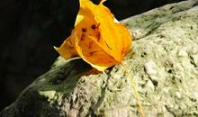 阳光不会遗忘任何角落