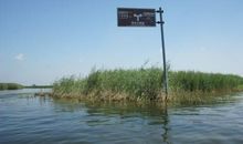 孙犁：风烛庵杂记