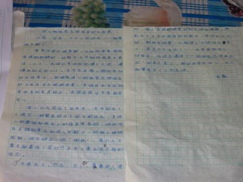 如何写小学生的思想