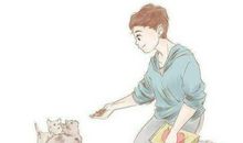 礼貌待人的俗语