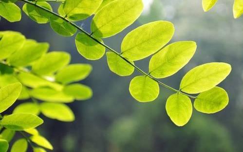 非常漂亮的五个句子,适合放置在朋友圈中