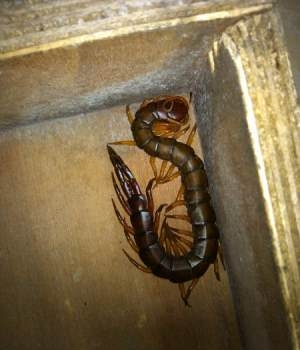 从错误的生存中看人生