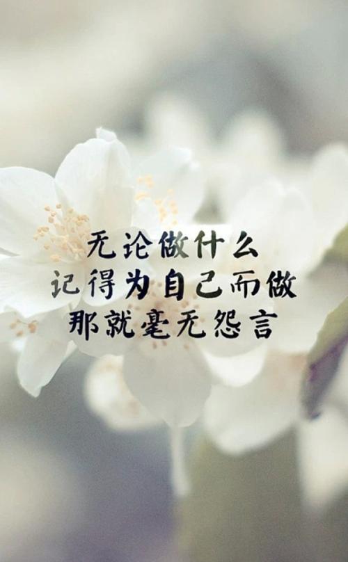 有关旅行的文字