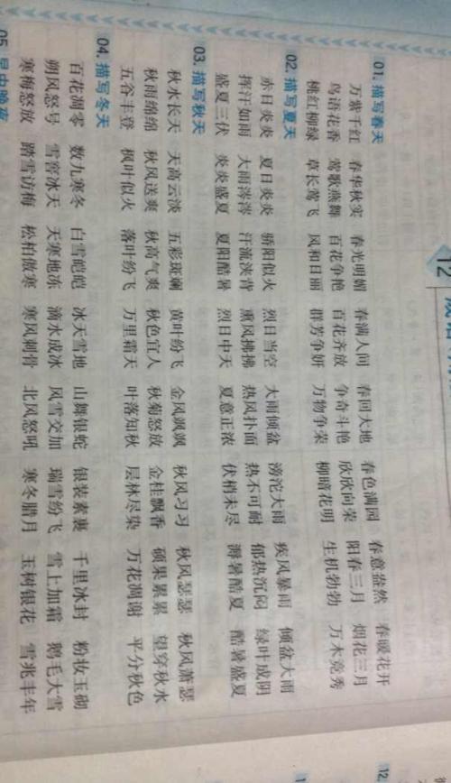 形容女孩的习语