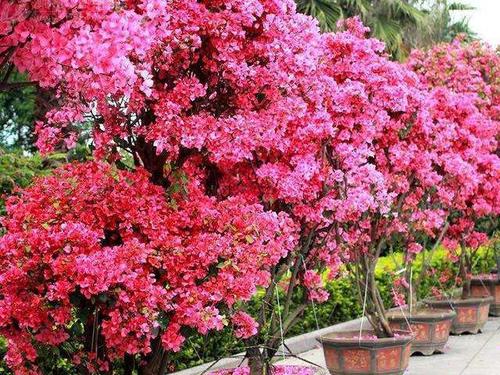 新年请做这三个