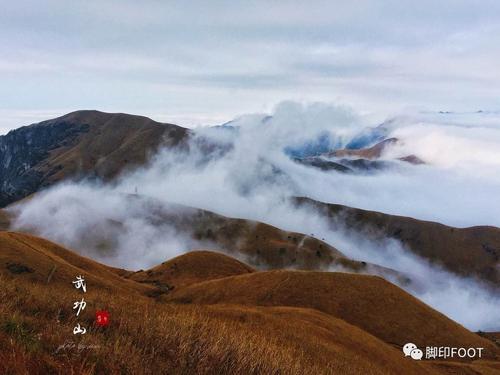 王同照：我又听到了秋天的虫子