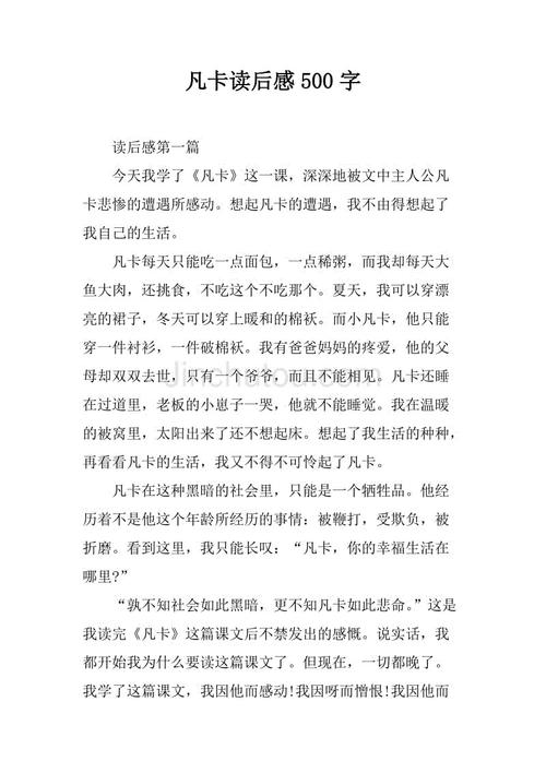 看完范卡之后的600个字