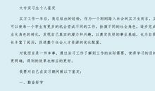 实习生实习考核评语