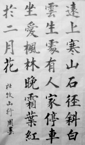 整首诗在远处的石路上