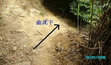 《古道徒步》作文