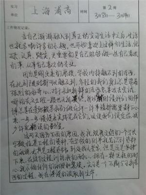 实习周刊