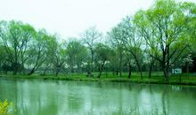 草长莺飞二月天全诗