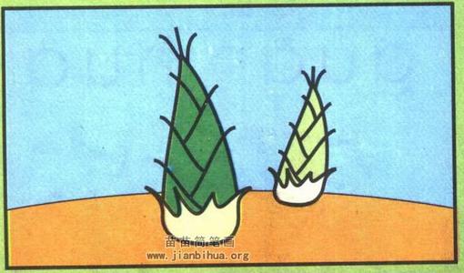 竹笋寓言