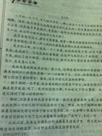 挫折也是美丽的构图600字