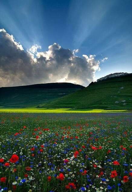 珍惜离别，痛苦使人清醒，幸福使人醉