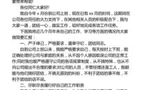 财务个人工作自我总结