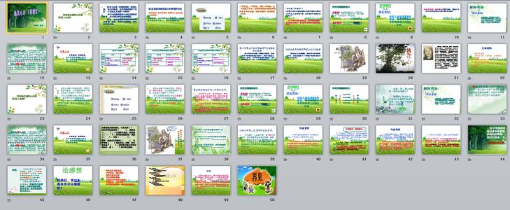 关于阅读桃花心木的思考