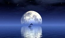 关于明月的诗句