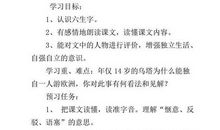 《乌塔》读后感