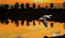 人生感悟：人生不过三万天，健康快乐最值钱