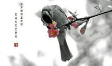 莫待无花空折枝全诗