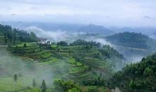 登黄鹤楼的诗意