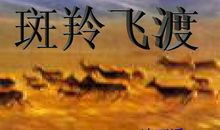 斑羚飞渡读书笔记