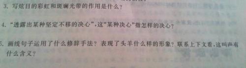 苍蝇飞行的好部分