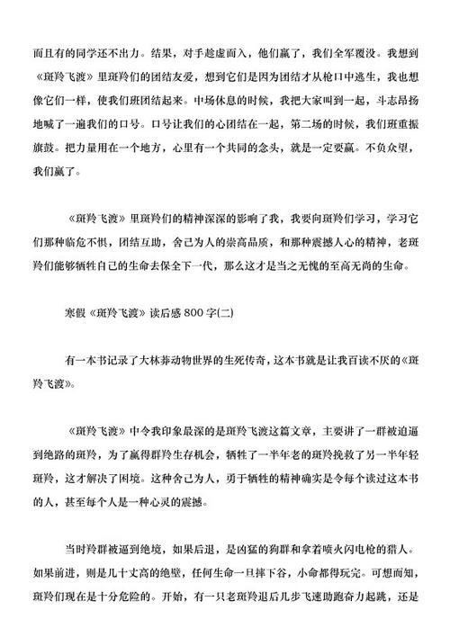 阅读目标飞行的感觉