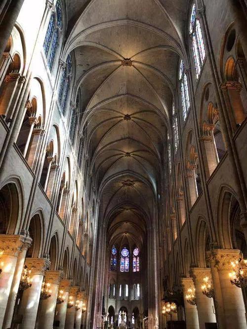 阅读巴黎圣母院600字