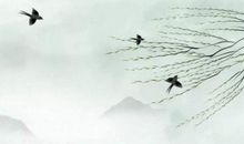 大林寺桃花的诗意