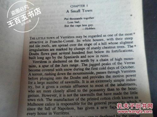 红与黑英文读后感