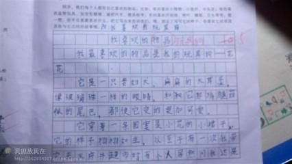 写一个小动物作文:我的小狗