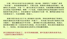 高中作文：三轮车和石莲豆腐