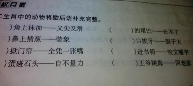 关于动物的寓言俗语