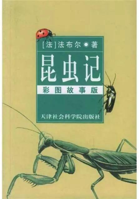 孙丽：吃的故事