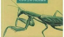 孙犁：吃饭的故事