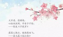 让人惊艳的句子