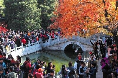 徐渭南:翔鹭峰鸟瞰图