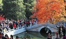 徐蔚南：香炉峰上鸟瞰