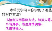 七年级上第一单元习作：难忘的展示