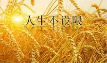 品味人生励志精髓