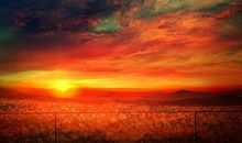 汪国真：嫁给幸福