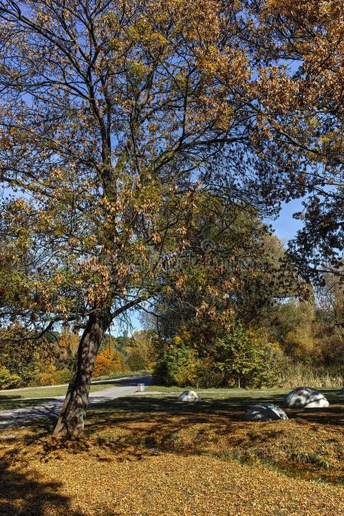 肖宏：索非亚的悲伤