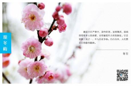 关于祝福的声明